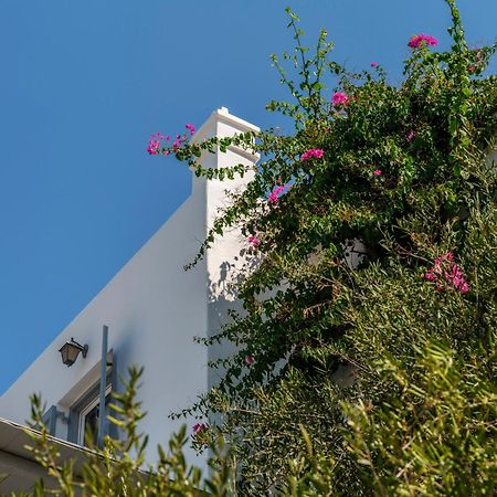 Baybees Sea View Residence Platis Yialos Extérieur photo