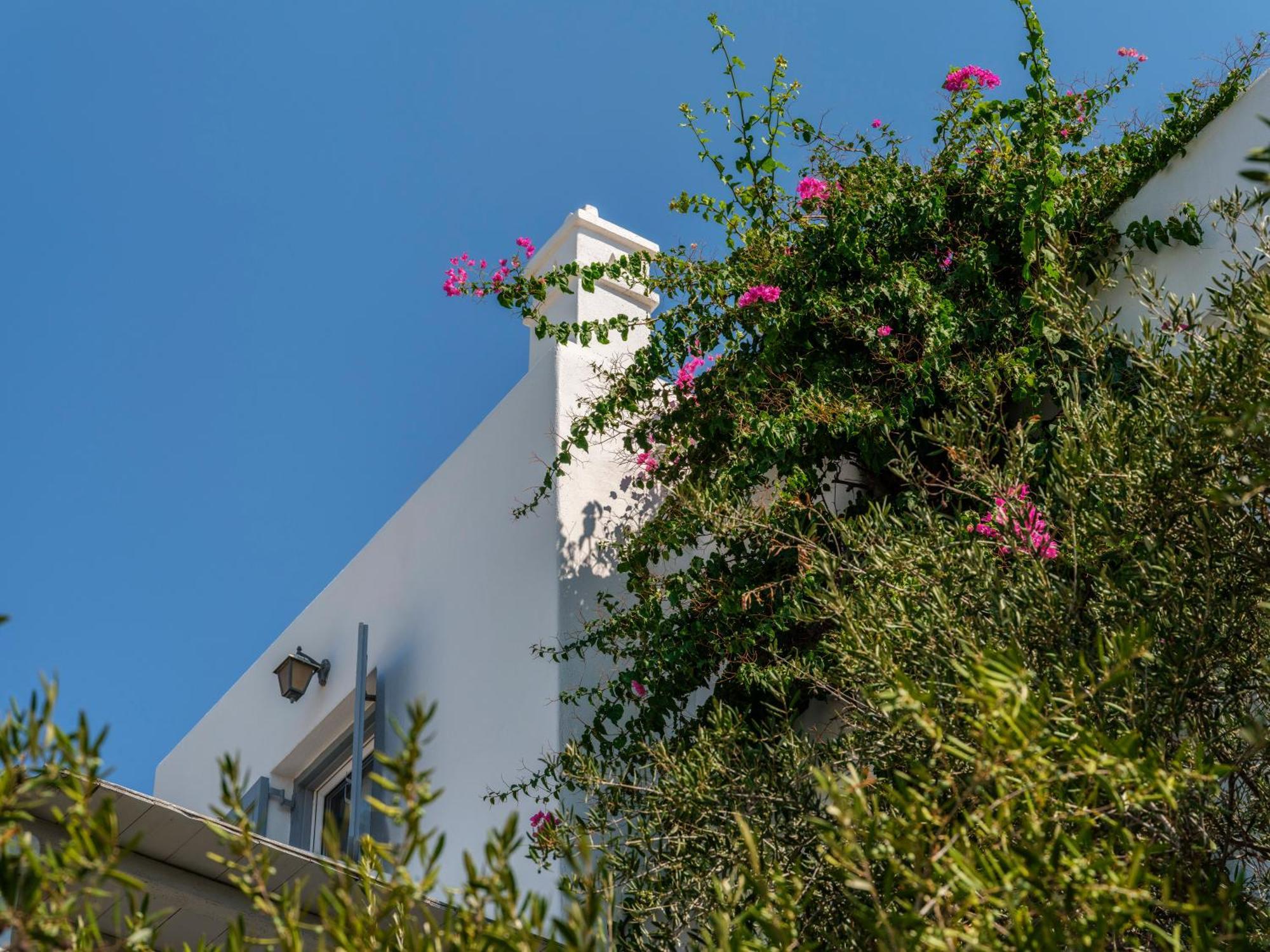 Baybees Sea View Residence Platis Yialos Extérieur photo